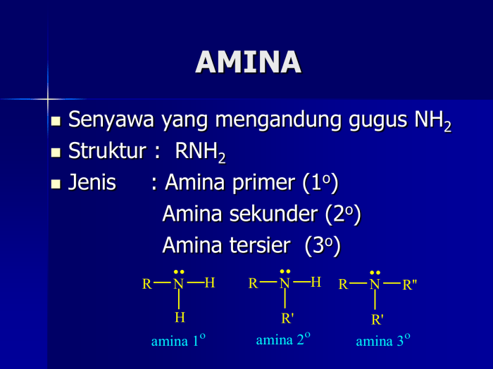 amina primer tersier sekunder soal berstruktur