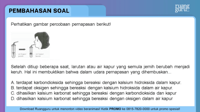 percobaan pernapasan dengan air kapur