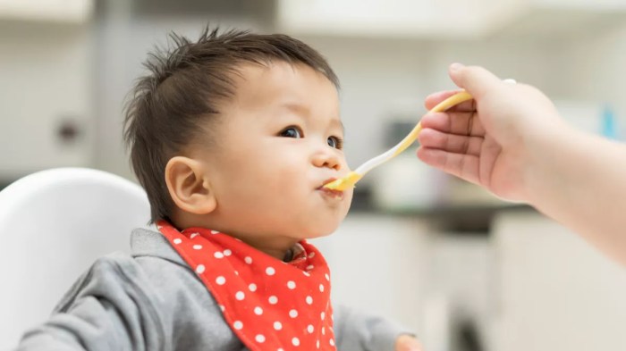 pola makan bayi usia 8 9 bulan adalah