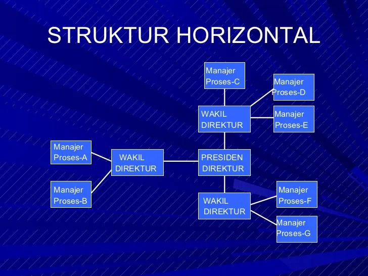 organisasi struktur contoh bagan ukm bentuk novelia chairunnisa putri tipe