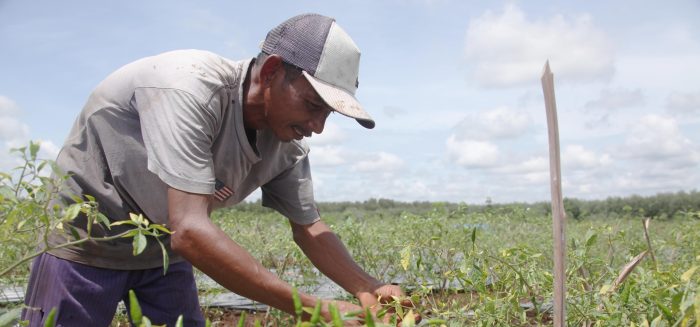 mata pencaharian di desa terbaru