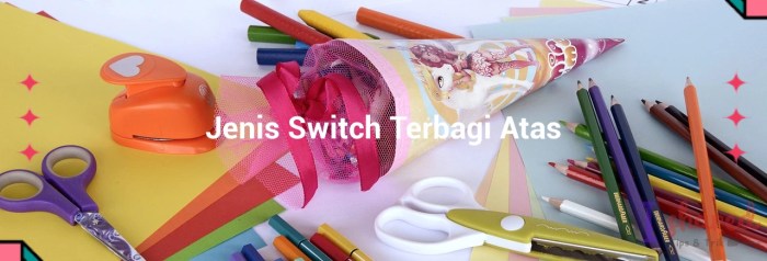 jenis switch terbagi atas terbaru