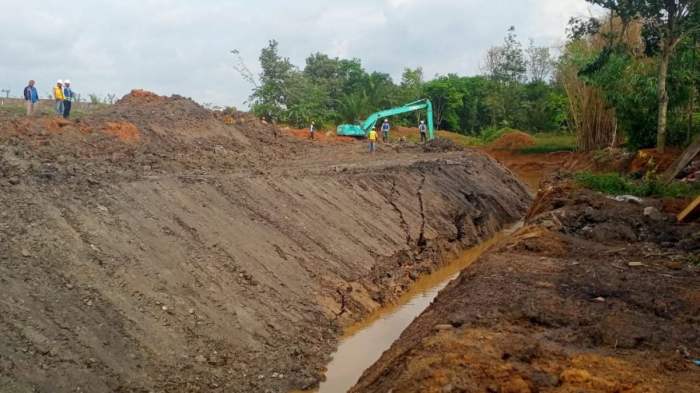 tanah yang ditanami dengan tidak diairi