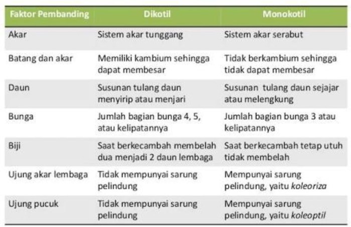 tabel perbedaan dikotil dan monokotil