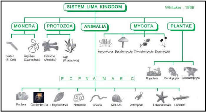 mind mapping kingdom monera terbaru