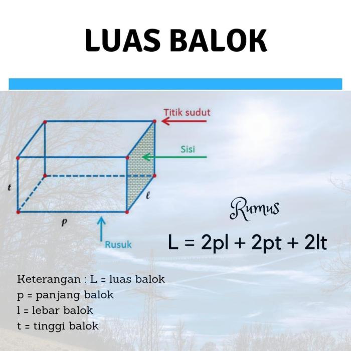 scaffolding spesifikasi steger pemasangan setelah pasang mitra spec