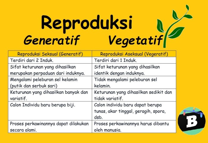 fase vegetatif dan generatif terbaru