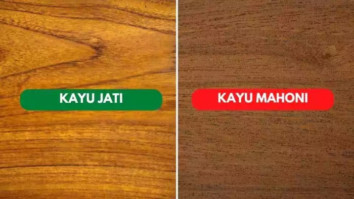 kayu akasia jati perbedaan mahoni