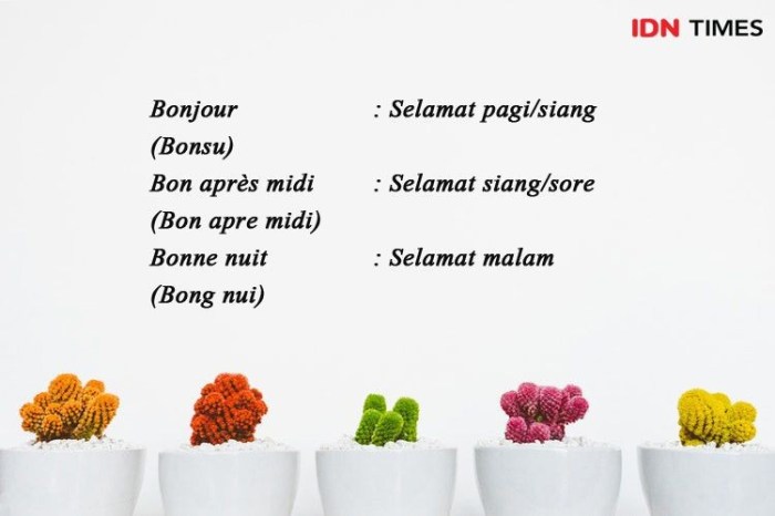 bahasa prancis apa kabar terbaru