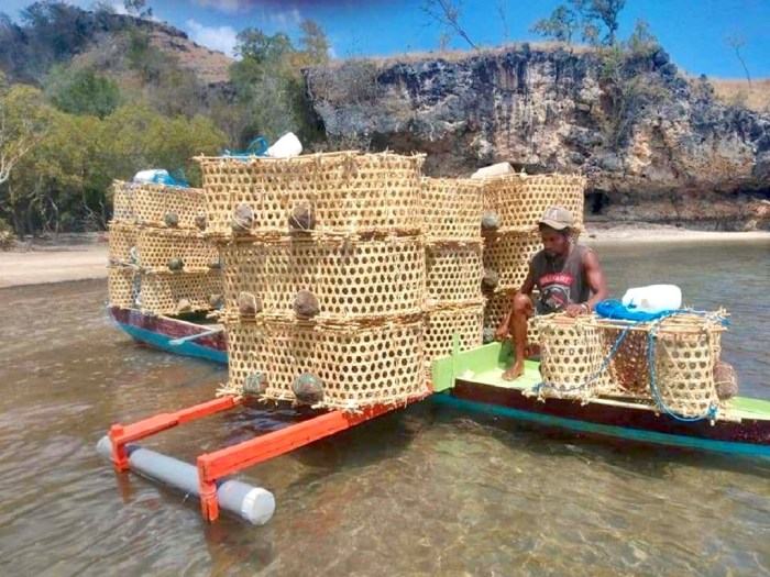 gambar alat penangkap ikan tradisional