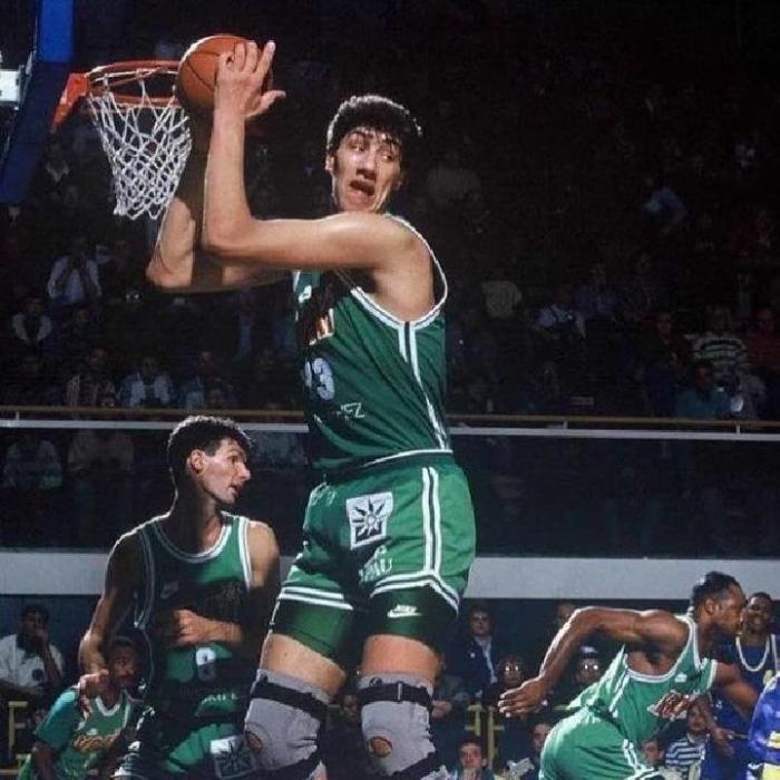 tinggi badan pemain basket terbaru