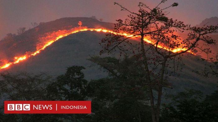 contoh teks berita kebakaran rumah terbaru