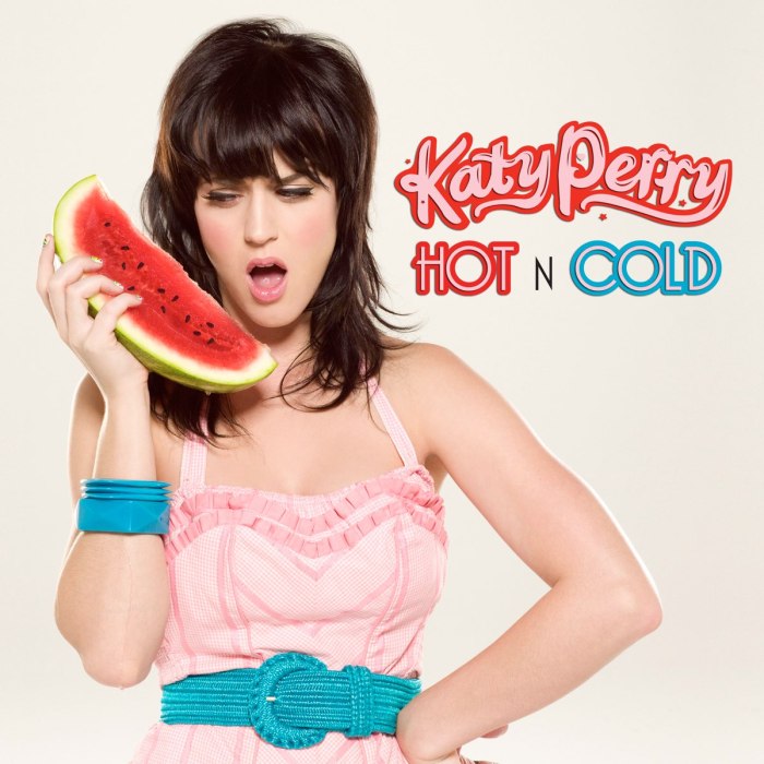 lirik lagu katy perry hot n cold