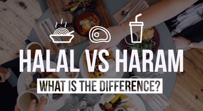 halal haram food difference vs bolgatty palace island between halaltrip other