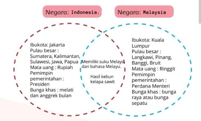 apa saja persamaan dan perbedaan terbaru