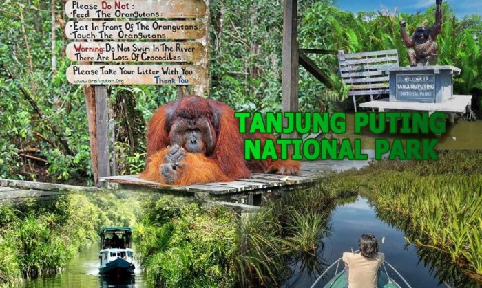 tanjung puting national park kalimantan climate weather rainfall temperature borneo