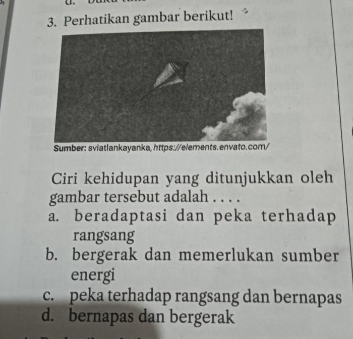 gambar peka terhadap rangsang terbaru