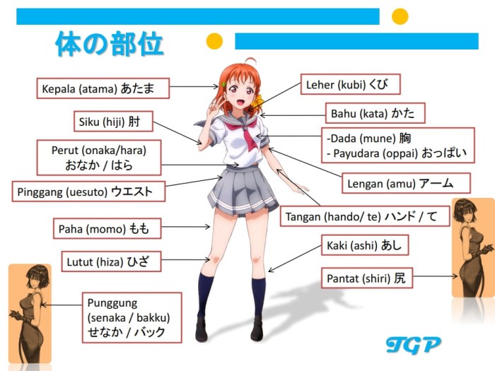 bagian tubuh dalam bahasa jepang terbaru