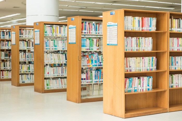 Perpustakaan rak buku sekolah universitas layanan jenis uc ciputra florencia hong library