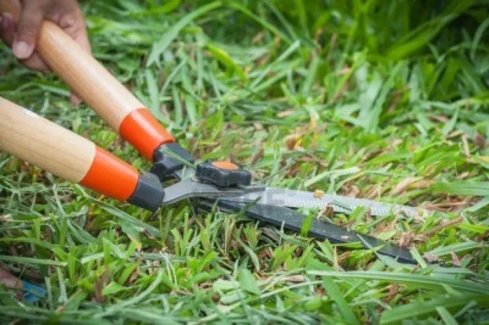 Grass cutting scissors