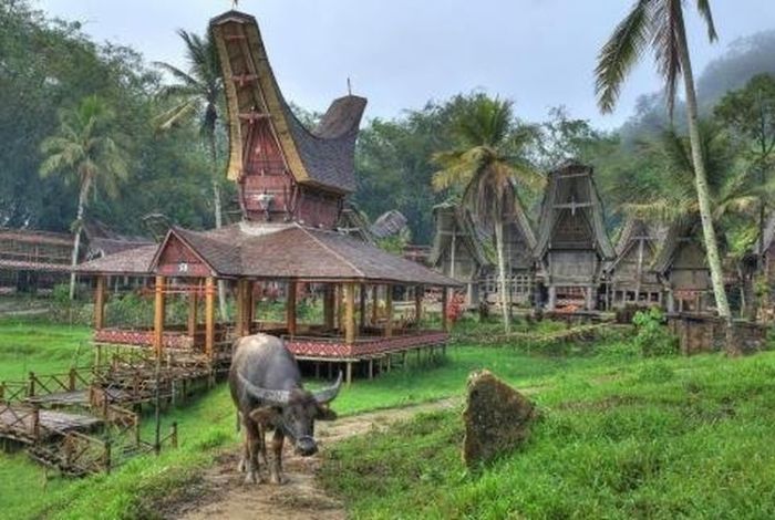 cerita anak seribu pulau terbaru