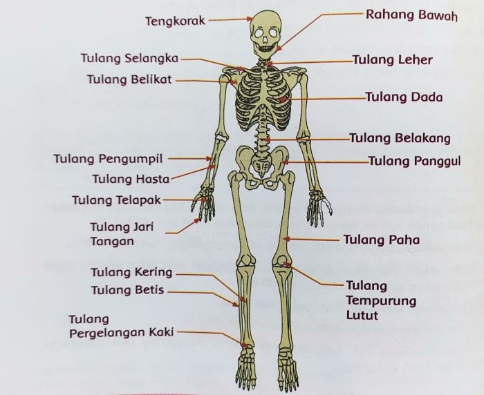 tangan beda garis nih tahu biar kenapa mendingan daripada ramalan percaya berbeda howcast hipwee