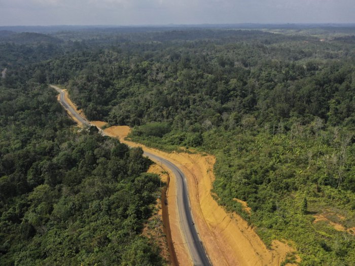 sistem pengetahuan kalimantan timur