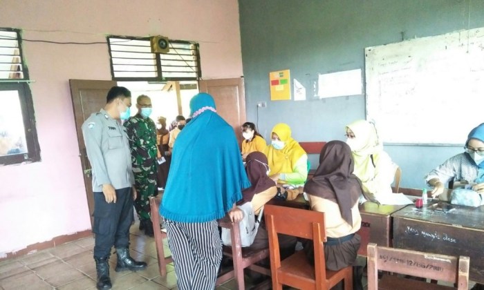 rimbang buah budidaya daun dilakukan jangan sepelekan khasiat panen tahap