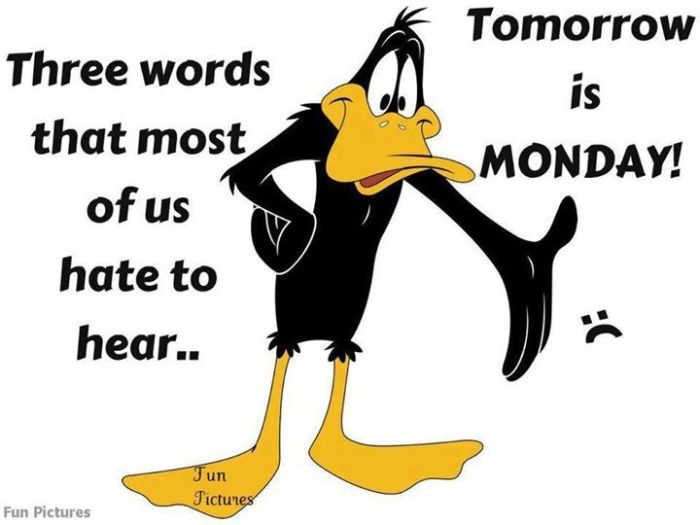 today is monday tomorrow is terbaru