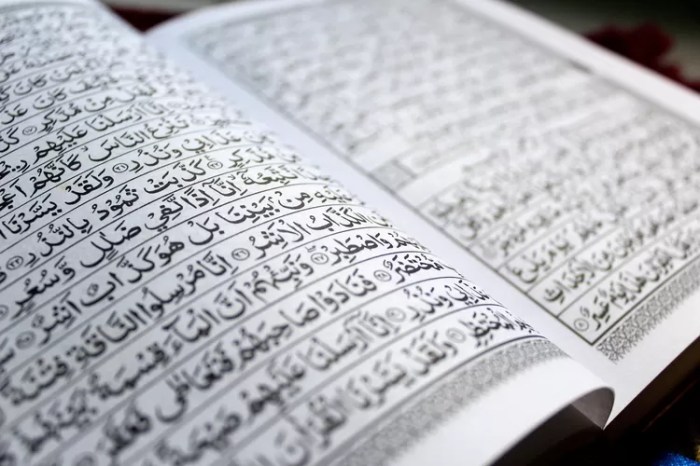 hujurat surat ayat hukum tajwid artinya surah penjelasan lengkap pengajaran arti