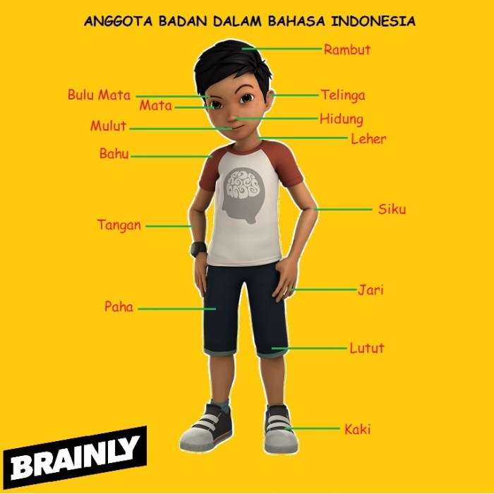 gambar anggota tubuh dalam bahasa jawa