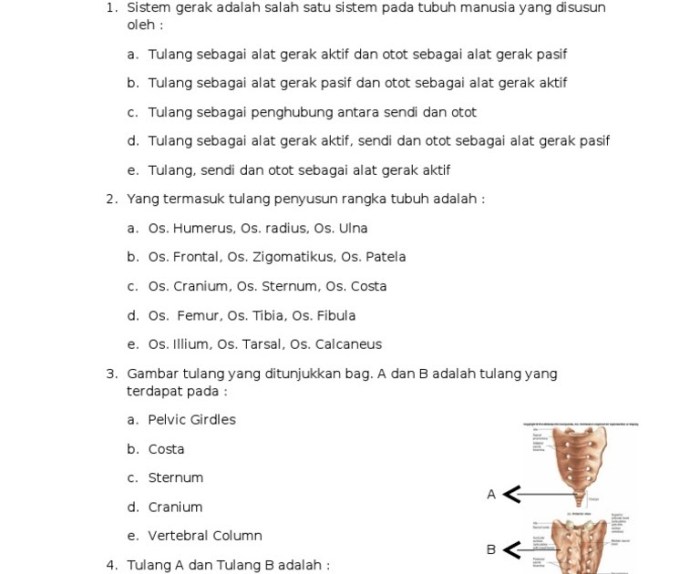 soal hots keragaman budaya