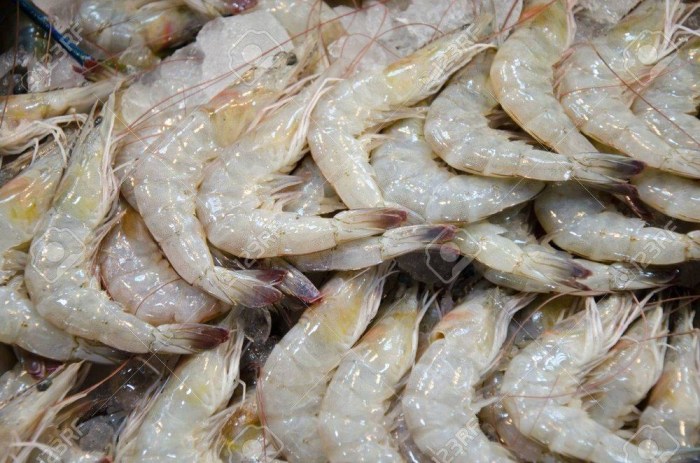 perbedaan udang windu dan vaname