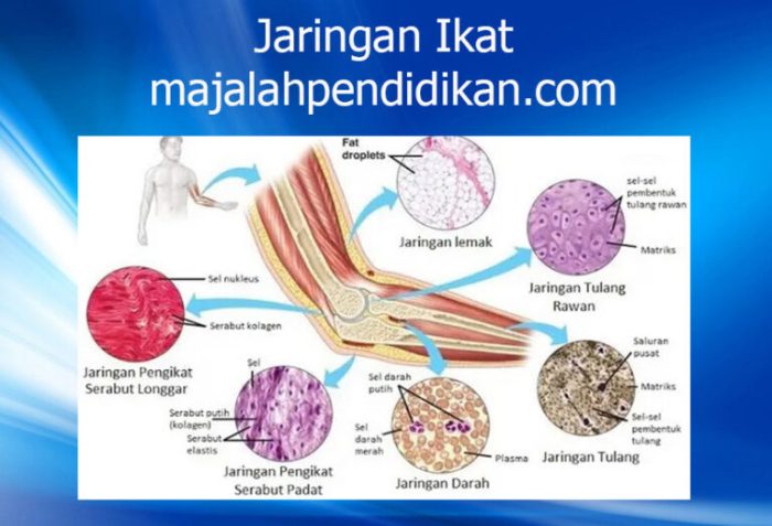 jaringan komputer manfaat pengertian