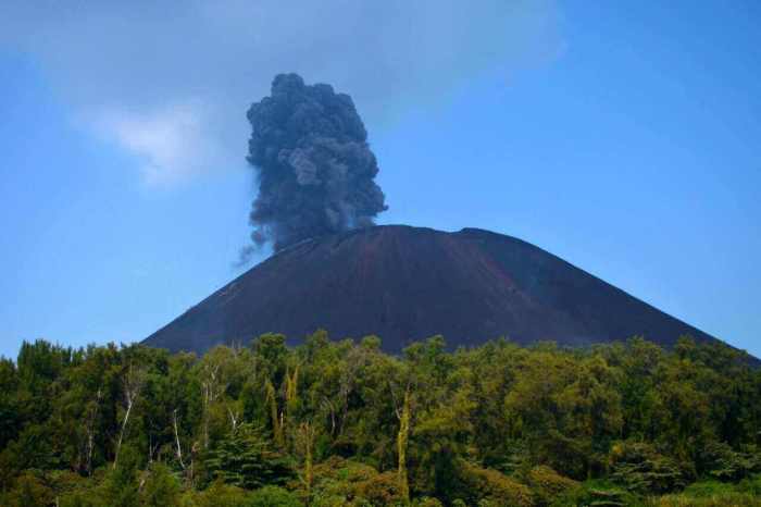 dimana letak gunung bromo