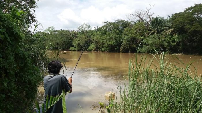 sungai memancing mancing umpan cara galak terbukti buatan paling jitu mancingikan baca ketam