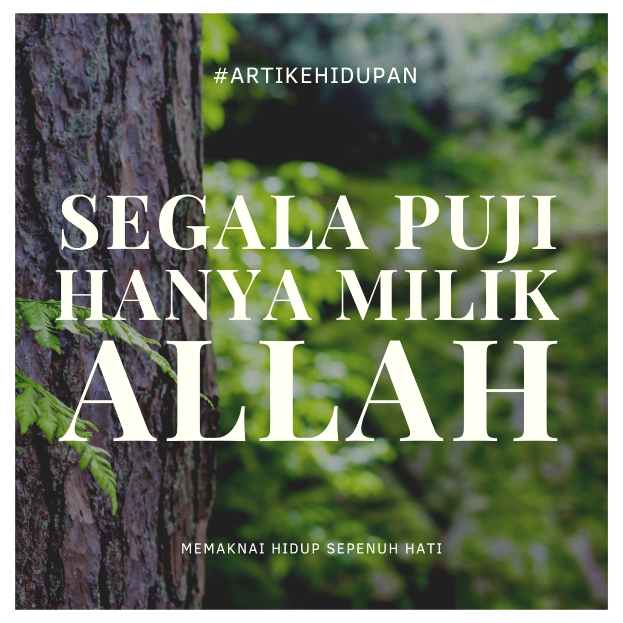 segala puji hanya milik allah terbaru