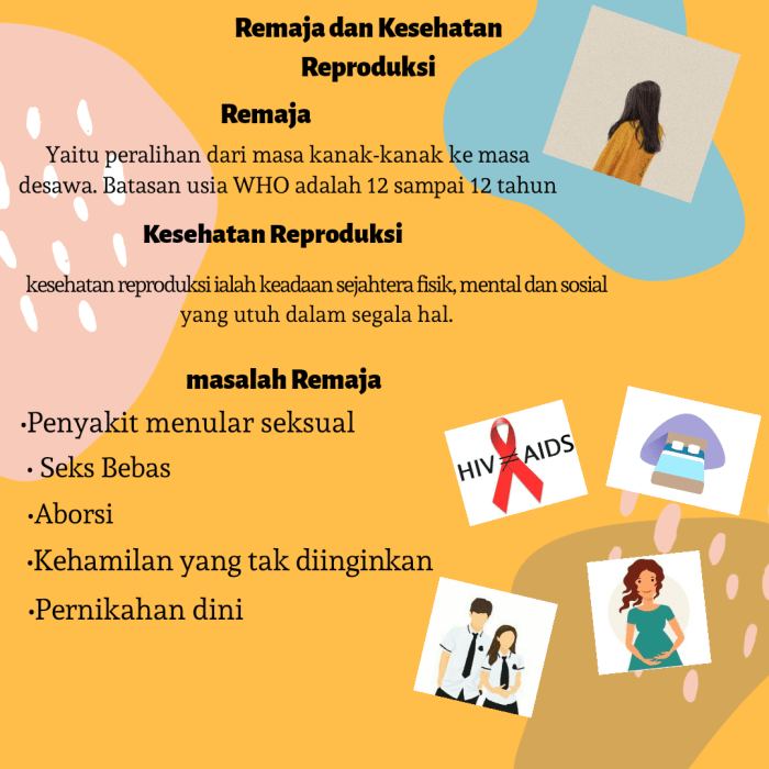 jelaskan pengertian kesehatan reproduksi