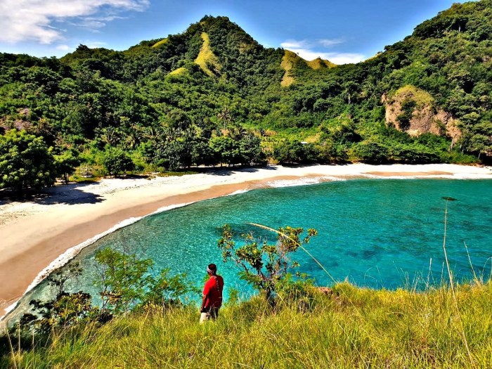 map nusa tenggara east tourist indonesia ntt flores timur peta tourism maps high google mappery