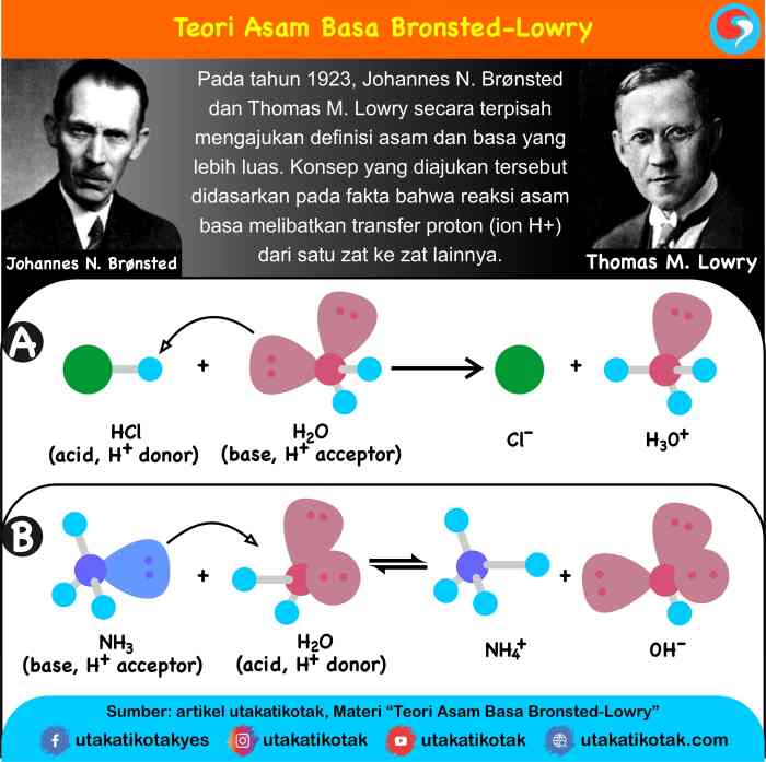 contoh asam basa bronsted lowry terbaru