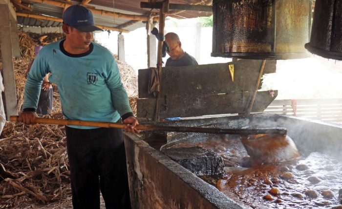 gula pembuatan suara gubug proses ngopi wisata manis pilihan edukasi