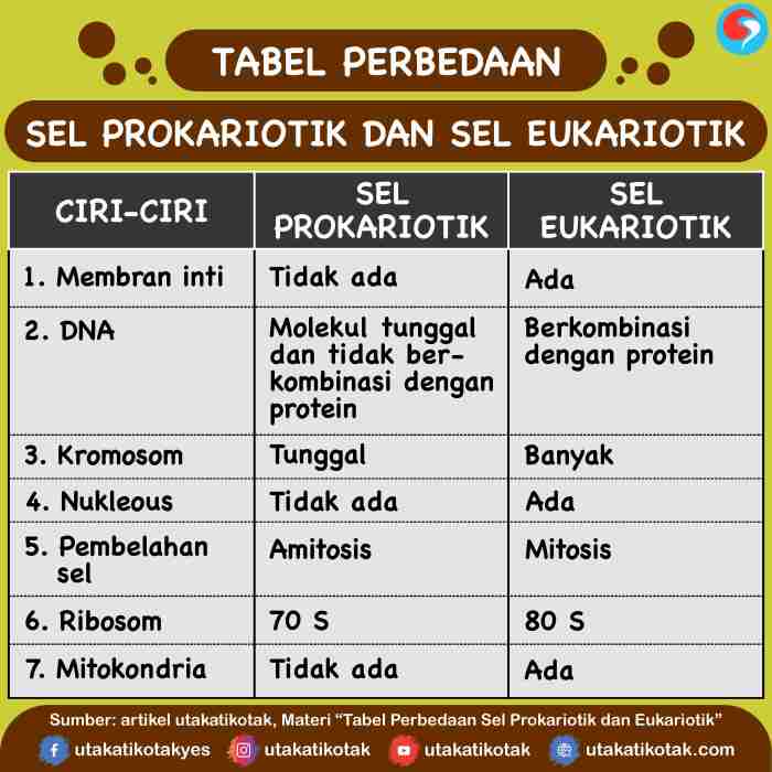 perbedaan protocollo passer pourquoi officially gagastekno selengkapnya sini pelajari sebelum baiknya membahas futuria assistenza