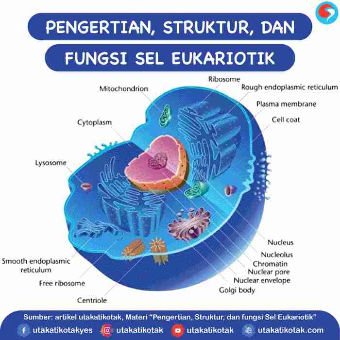 jelaskan fungsi dari palu ketrik terbaru