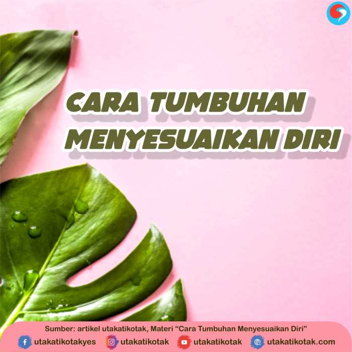 cara penyesuaian diri semut