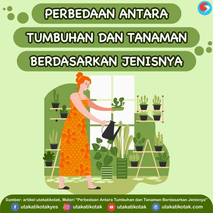 beda tanaman dan tumbuhan terbaru