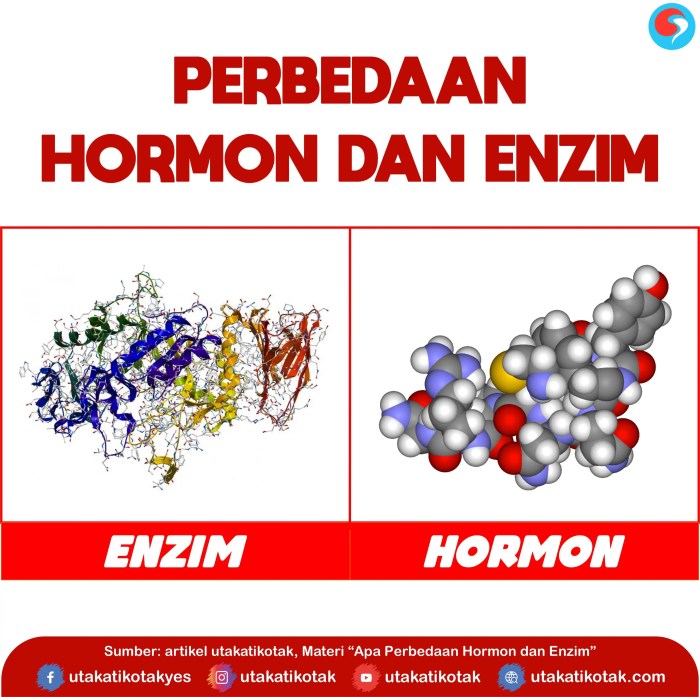 pppk pns guru perbedaan asn cpns dalam terbanyak daftar formasi syarat rekrutmen seleksi calon casn tirto kedinasan sekolah pendaftar kemudian