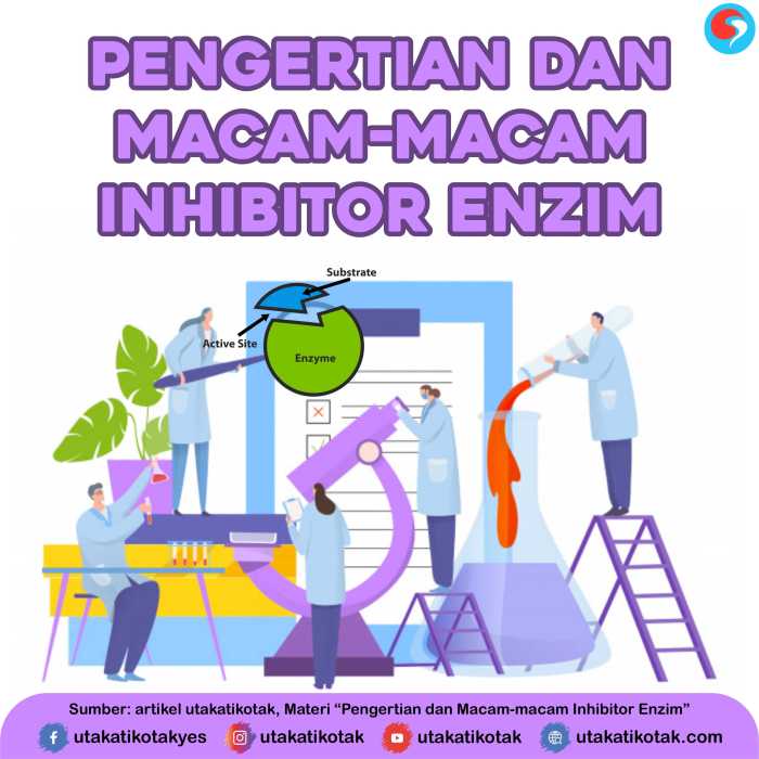 macam macam inhibitor enzim