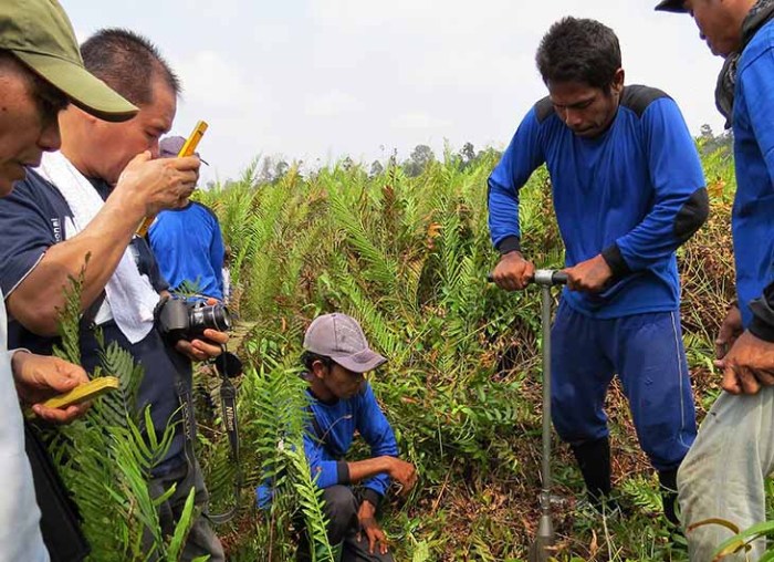 cara menghitung emisi karbon terbaru