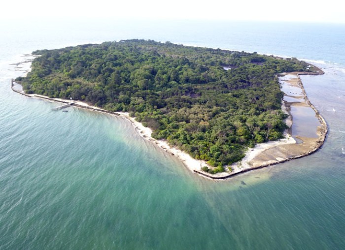 termasuk jenis flora apakah hutan pantai