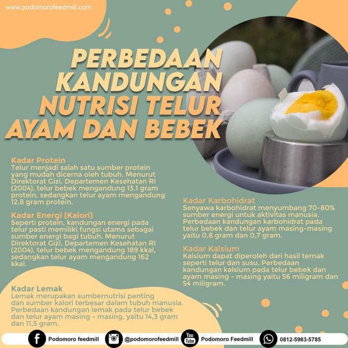 perbandingan telur dan terigu dalam bolu